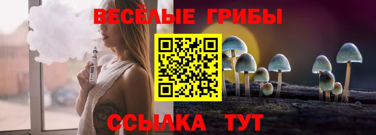 цена   Псилоцибиновые грибы GOLDEN TEACHER  Галлюциногенные грибы ЛСД  Вход с VPN  Грозный 