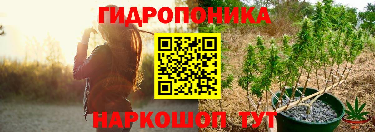Конопля Amnesia Грозный